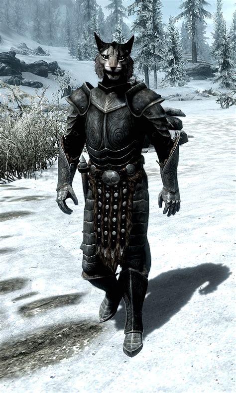 khajiit follower